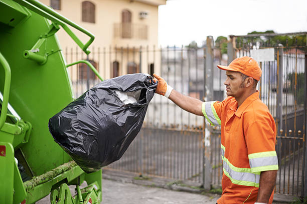 Best Junk Hauling Services  in Ladue, MO